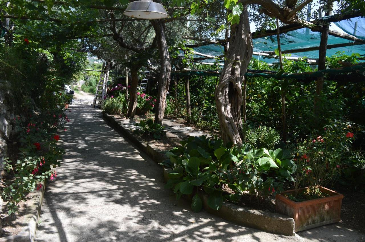 La Petra Villa Vico Equense Dış mekan fotoğraf