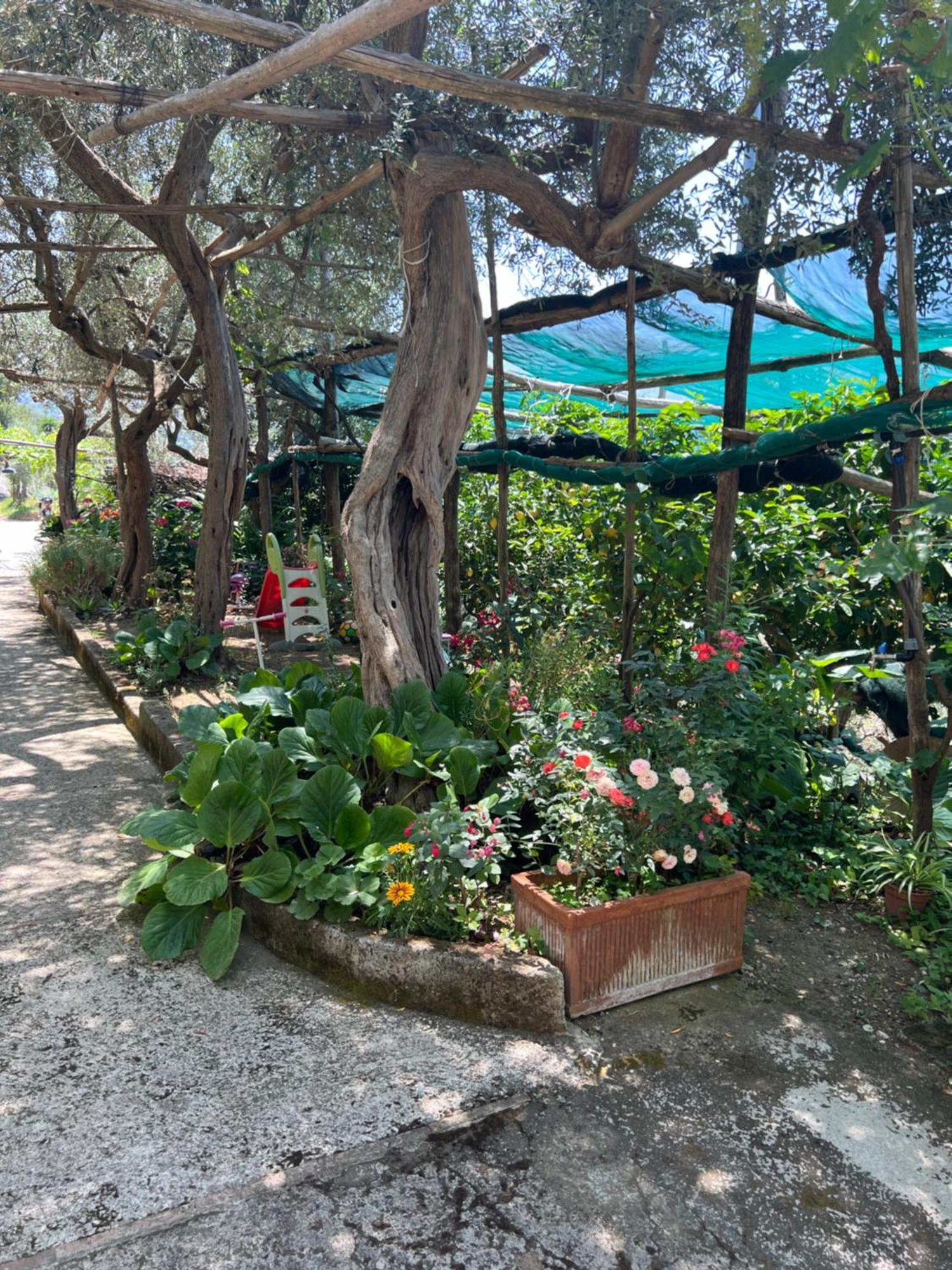 La Petra Villa Vico Equense Dış mekan fotoğraf