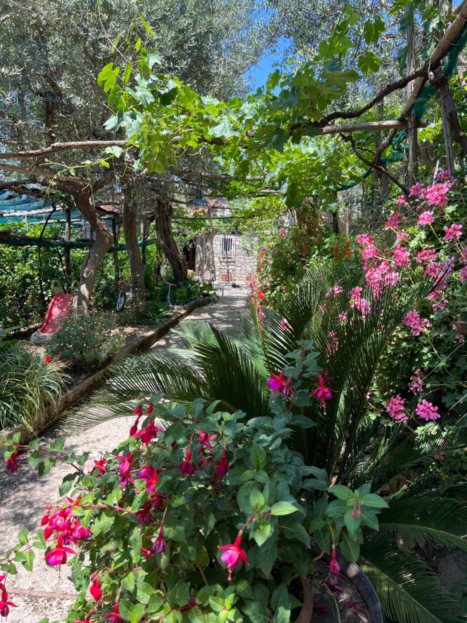 La Petra Villa Vico Equense Dış mekan fotoğraf