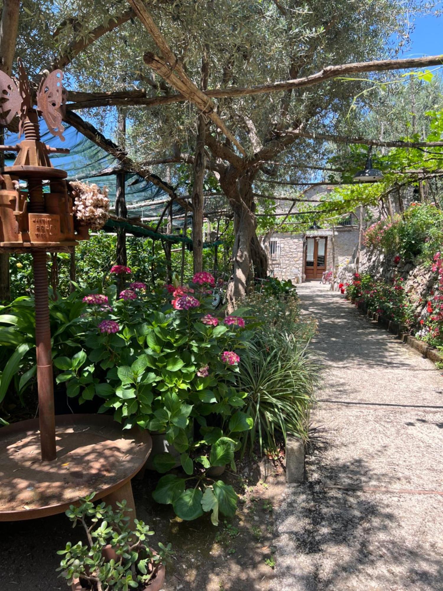 La Petra Villa Vico Equense Dış mekan fotoğraf
