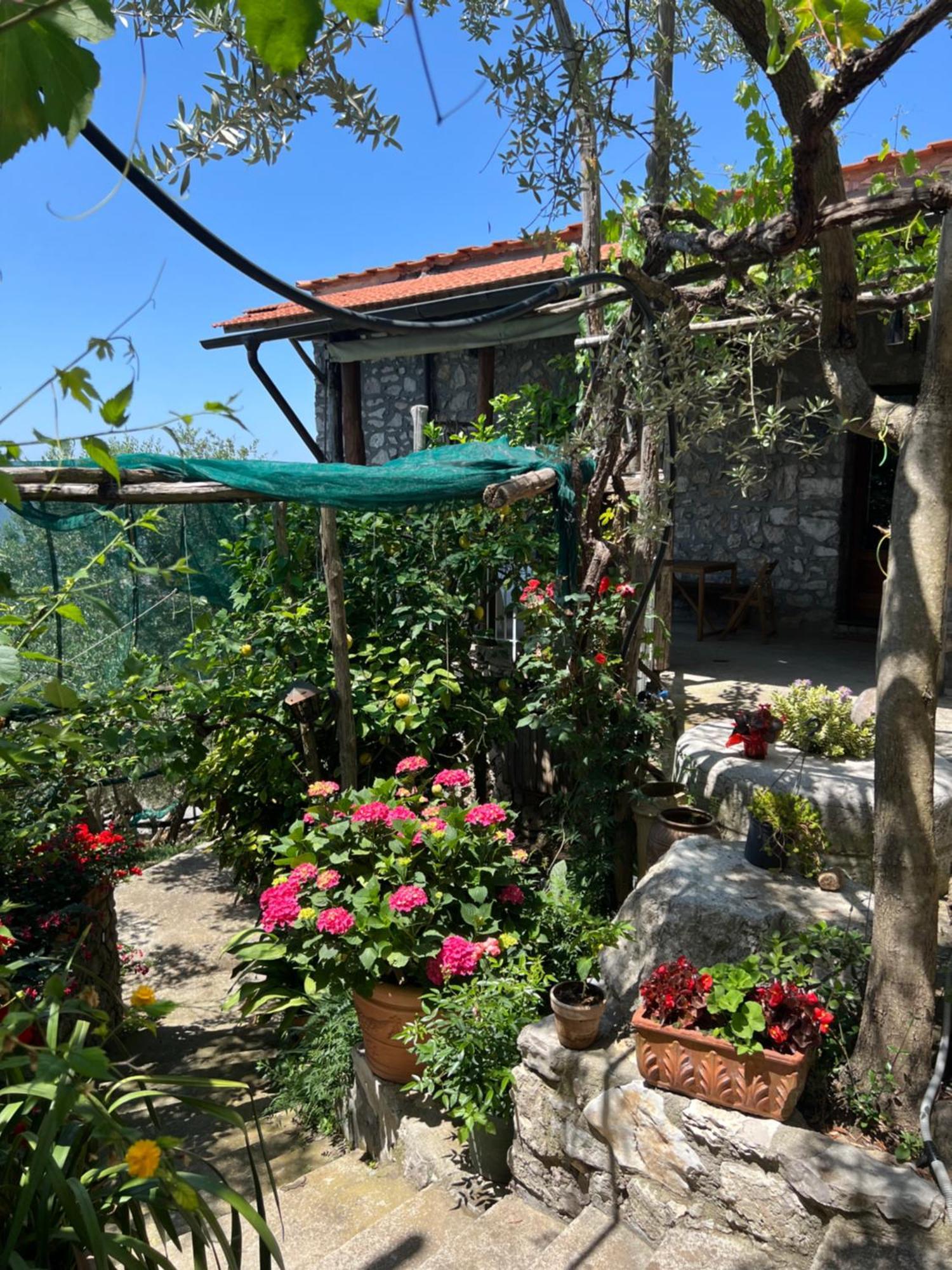 La Petra Villa Vico Equense Dış mekan fotoğraf
