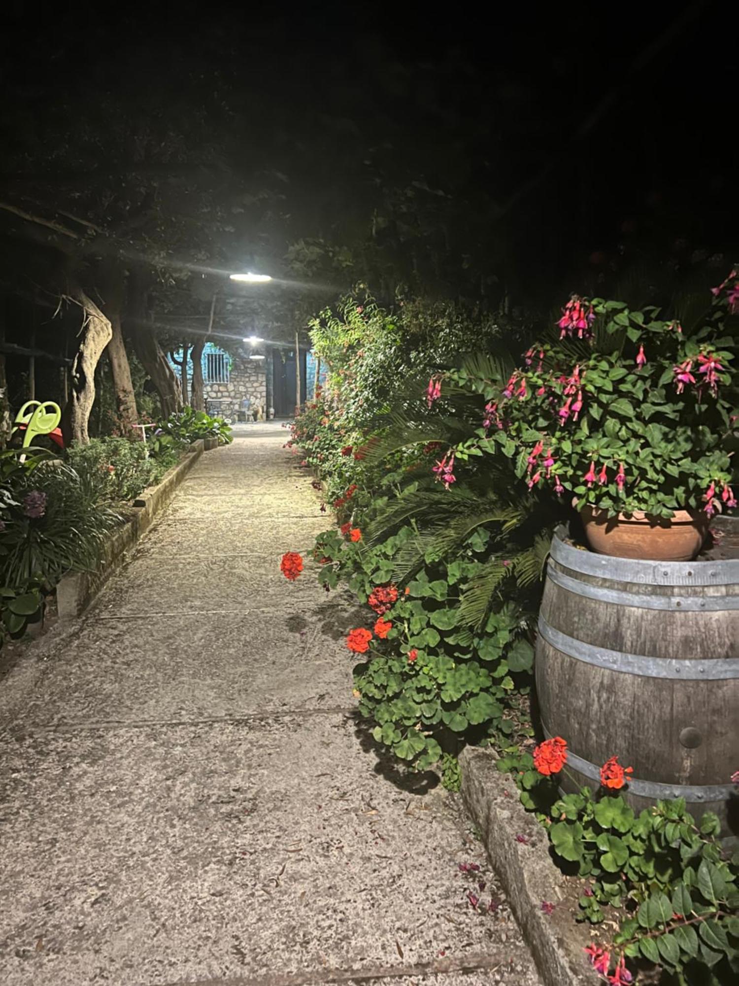 La Petra Villa Vico Equense Dış mekan fotoğraf